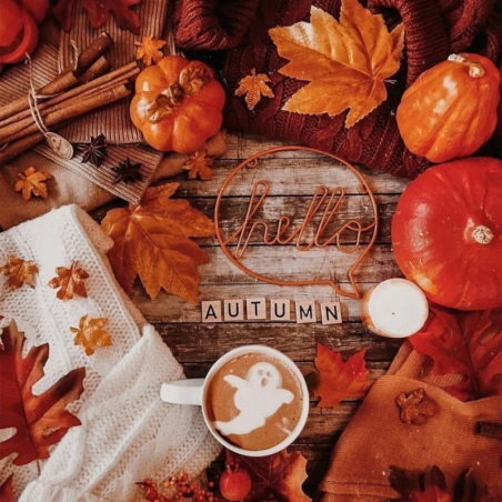 Les fondants d'automne